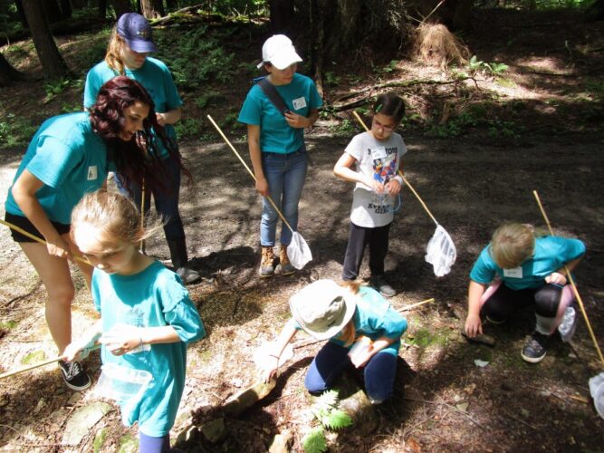 Hutchinson seeking resolution over Hatch Run area News, Sports, Jobs